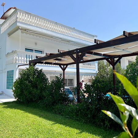Villa Vave Nea Iraklia Dış mekan fotoğraf