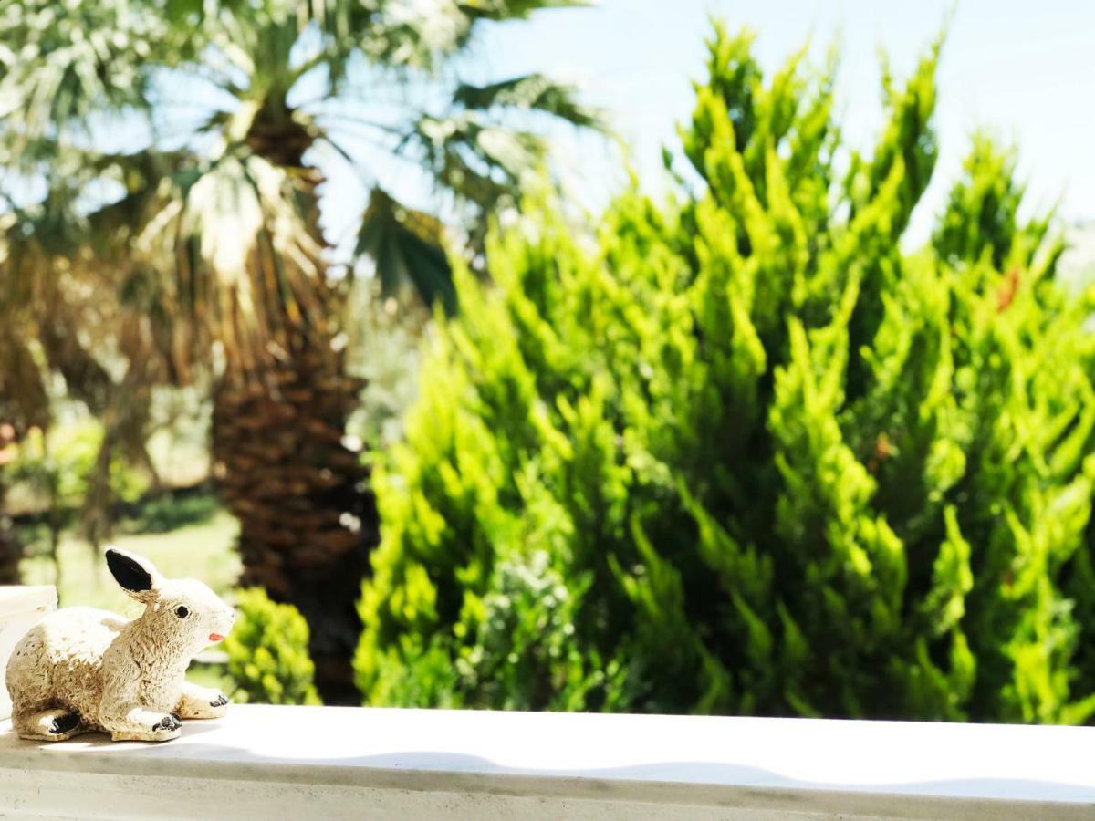 Villa Vave Nea Iraklia Dış mekan fotoğraf