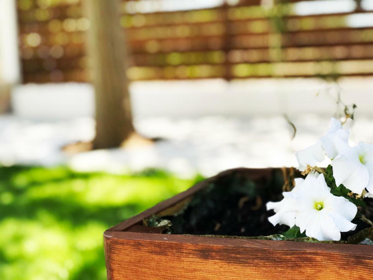 Villa Vave Nea Iraklia Dış mekan fotoğraf